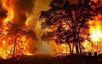 INCENDI: UN DISASTRO ANNUNCIATO