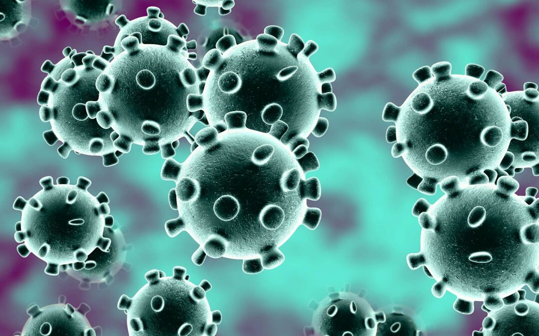 Coronavirus: Dpcm del 9 marzo e ulteriori istruzioni per il personale ATA