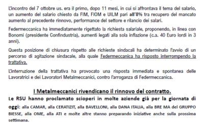 I Metalmeccanici rivendicano il rinnovo del contratto.