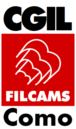 logo filcams