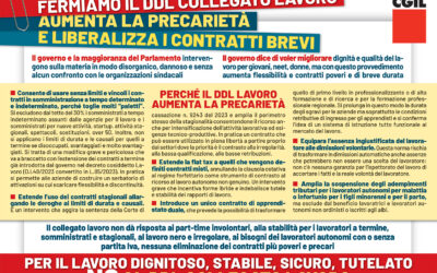 FERMIAMO IL DDL COLLEGATO LAVORO