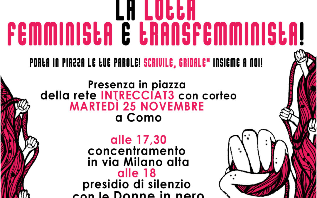 Alla violenza patriarcale rispondiamo con la lotta femminista e transfemminista!